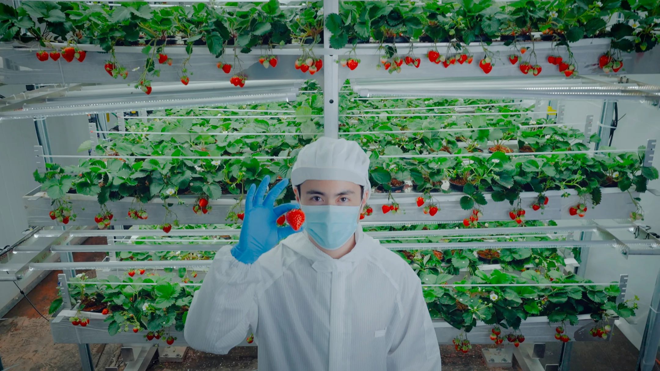 Oishii Scales Vertical Farming Robotics to Grow Pesticide-Free Strawberries at Commercial Volume